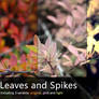 Leaves and Spikes