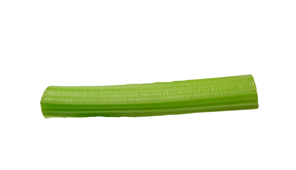 celery stick by TyMore2000 on DeviantArt