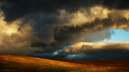 Hartside Pass by Nelleke