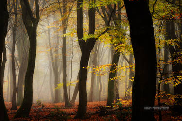 Autumn Magic by Nelleke