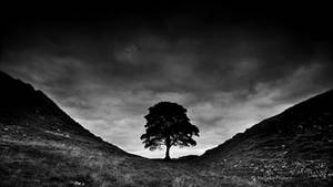 Sycamore Gap