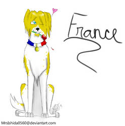 Francey-Pants