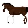 West Palmrio Sport Pony Import - Iterie