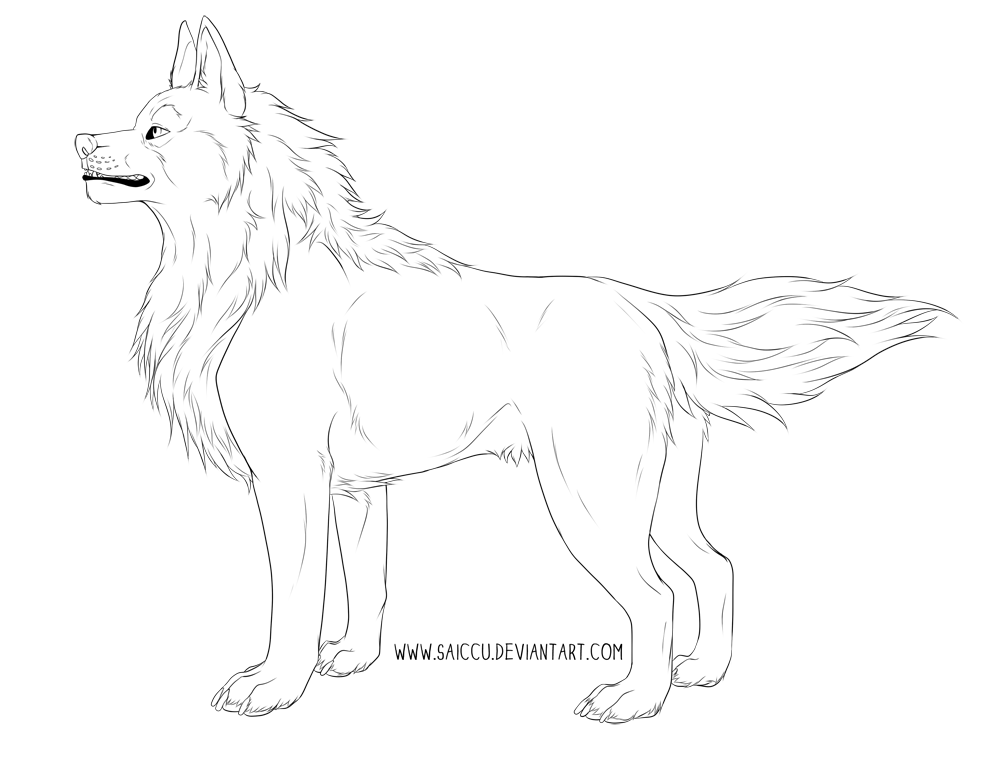 Free lineart - Wolf by Saiccu by Saiccu on DeviantArt