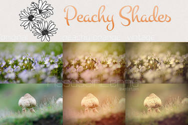 Peachy Shades Photoshop Actions