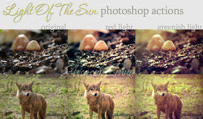 Light Up The Sun photoshop actions