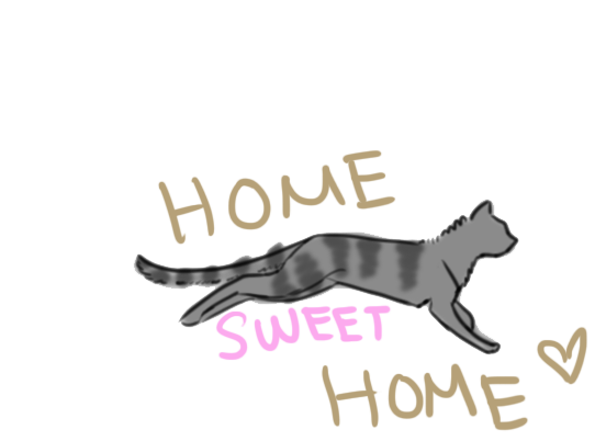 Finding Home Sweet Home