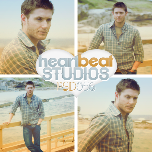 Heartbeat Studios PSD056