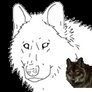 Base - Wolf Glance
