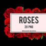 +ROSES | PACK PNG #01