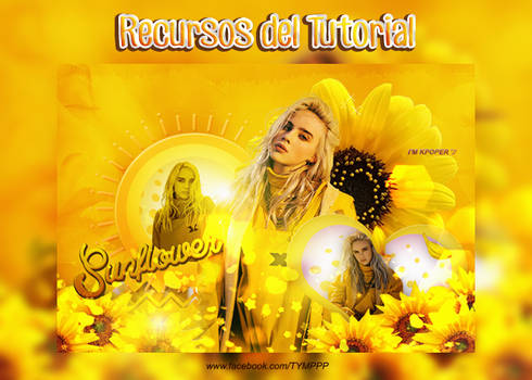 +RECURSOS DEL TUTORIAL | Sunflowers~