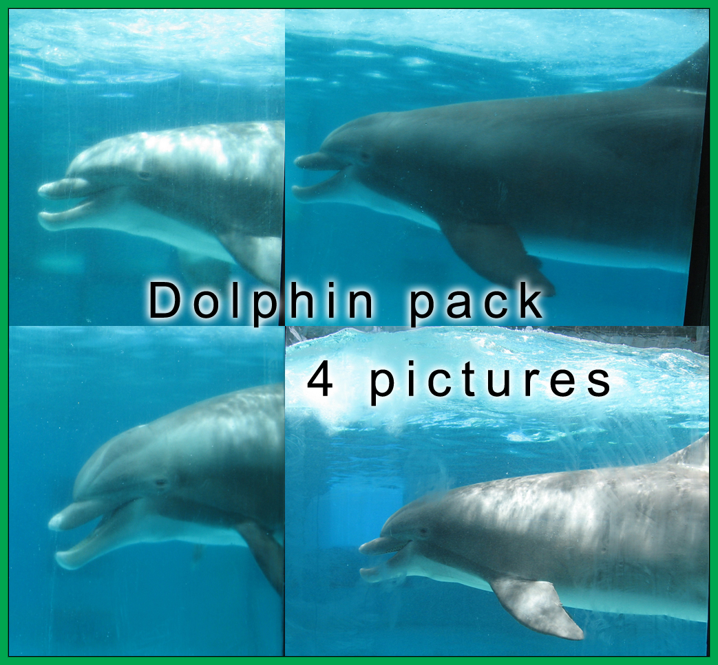 Dolphin Pack 1