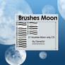 Brushes Moon