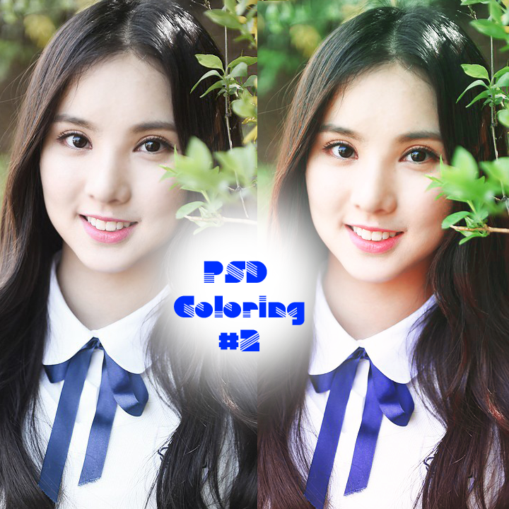 [PSD Coloring]#2