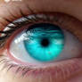 Fishes swim in the eye like in water