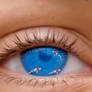 Fishes swim in the eye like in water
