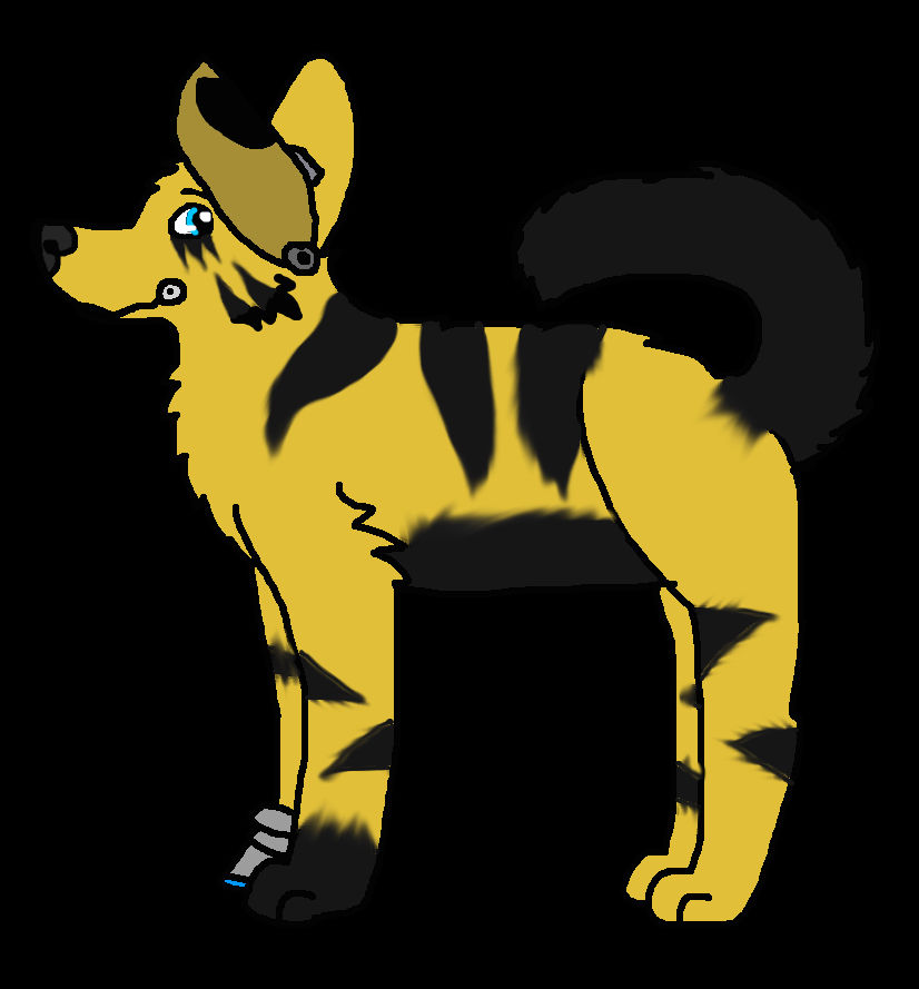 Bumble Bee as a wolf- DIGITAL VERSION! by ABritishWolf on DeviantArt