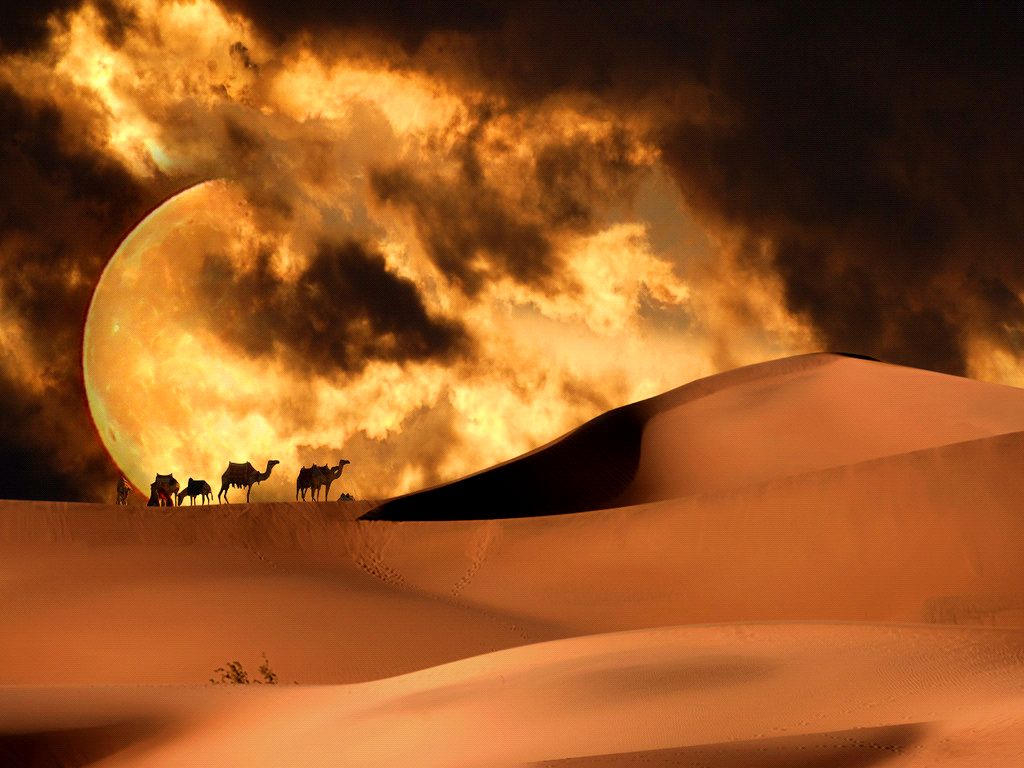 Караван ночью на глазах. Пустыня ночью. Пустыня сахара. Луна в пустыне. Луна над пустыней.