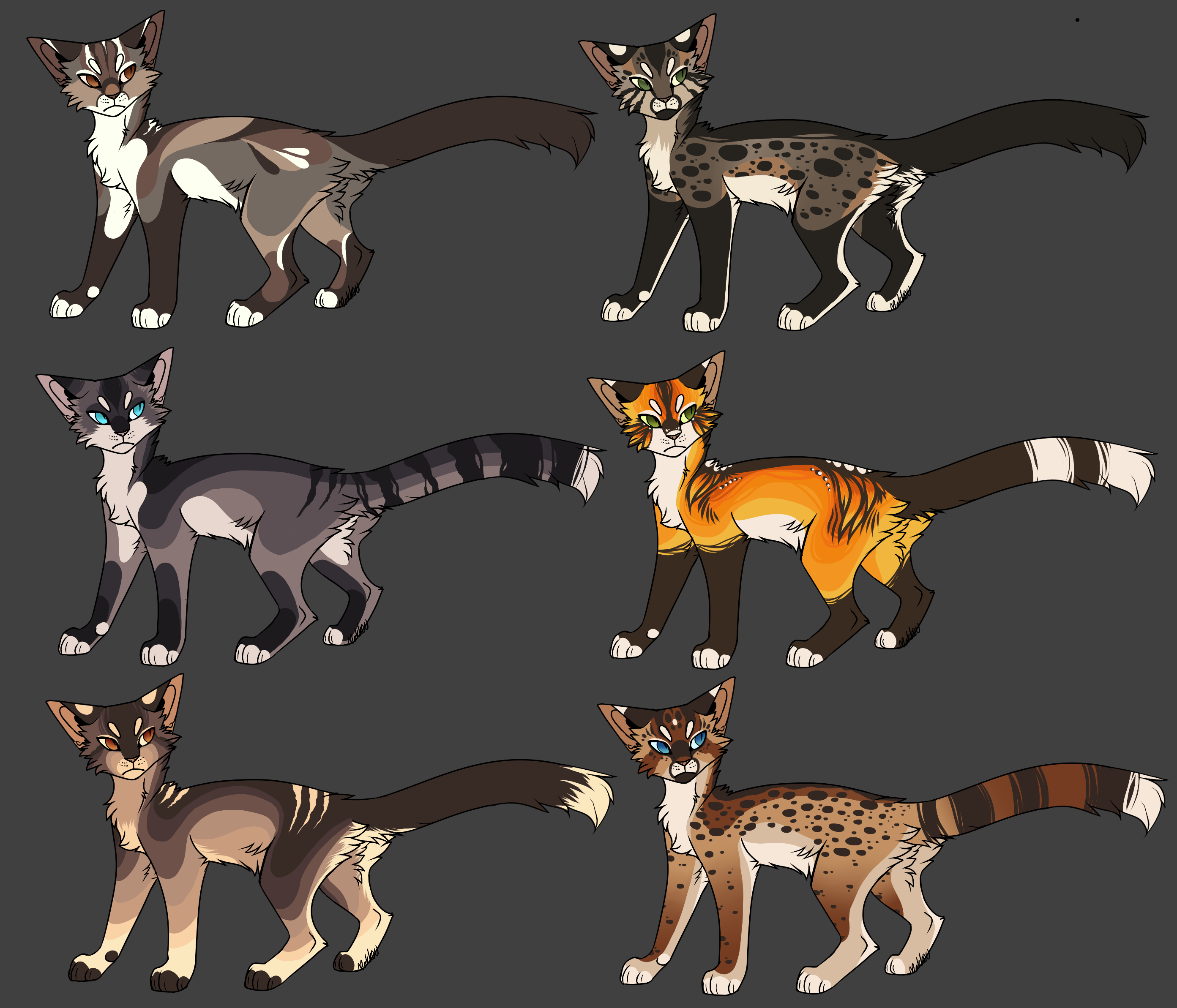 Kneecoleslaw Cat