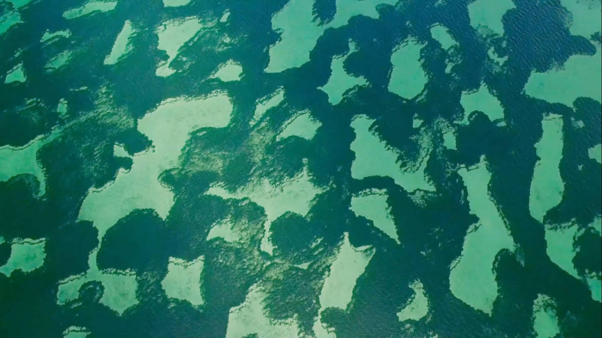 Greensea Live Wallpaper For Rainwallpaper By Rainysoft On Deviantart