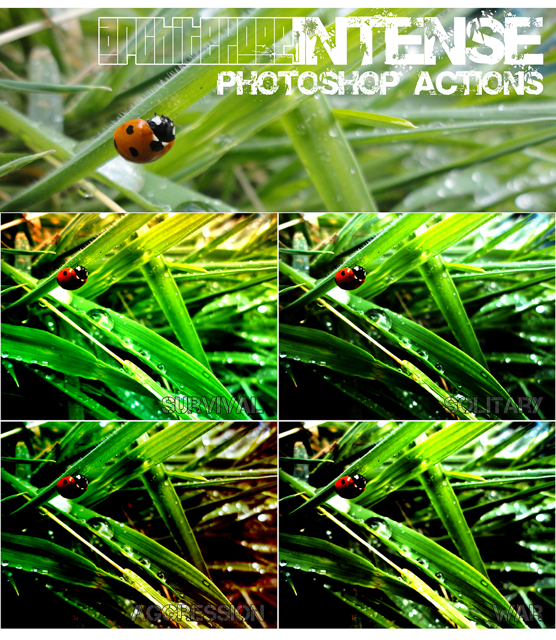 Intense PS Actions Set x4