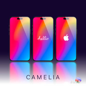 Camelia