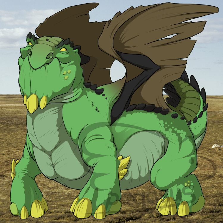 Male Snapper dragon, Turtwig skin