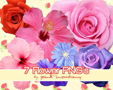 Flower PNG's