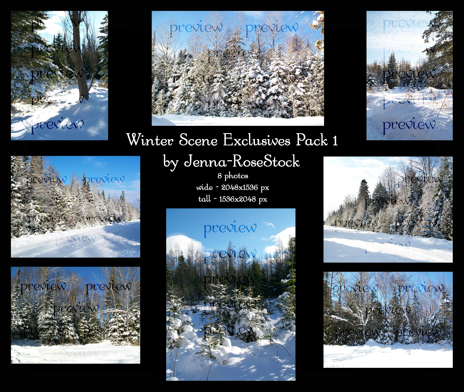 Winter Scene Exclusives 1