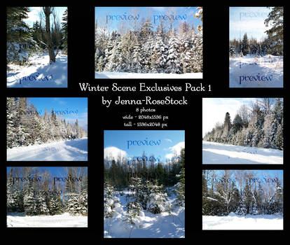 Winter Scene Exclusives 1 by Jenna-RoseStock