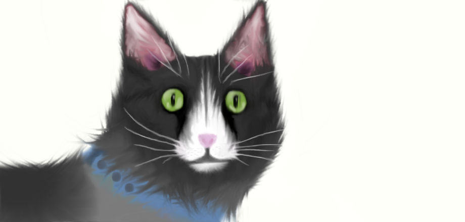 Cat - New version by SansIsntReal on DeviantArt