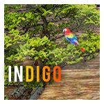 INDIGO-WEB INTERFACE