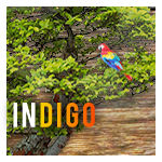 INDIGO-WEB INTERFACE by Solaris07