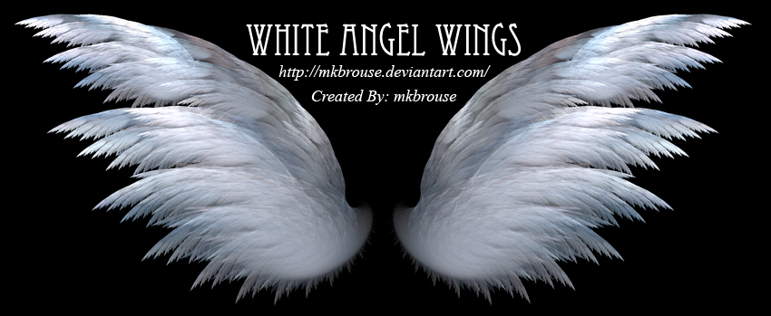 White Angel Wings - Fractal