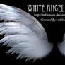 White Angel Wings - Fractal