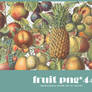 Fruit png pack #01