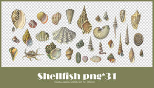 Aquatic png pack #01