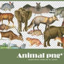 Animal png pack #02