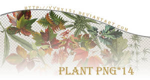 Plant png pack #01