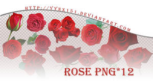 Flower png pack #03