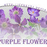 Flower png pack #04
