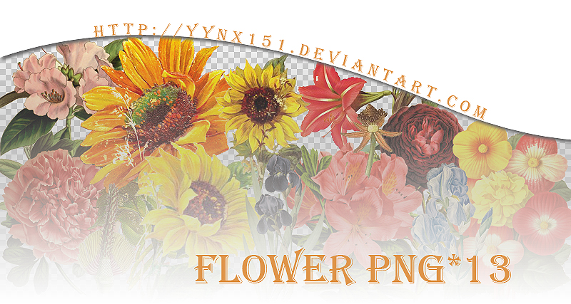 Flower Png Pack 05 By Yynx151 On Deviantart