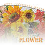 Flower png pack #05