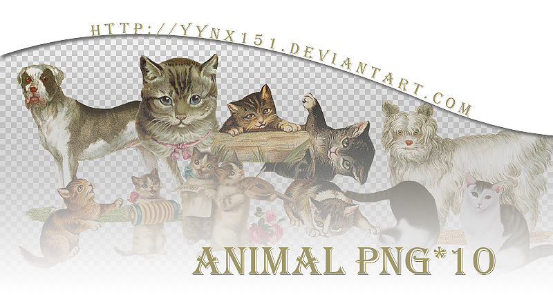 Animal png pack #03