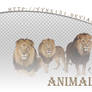 Animal png pack #07