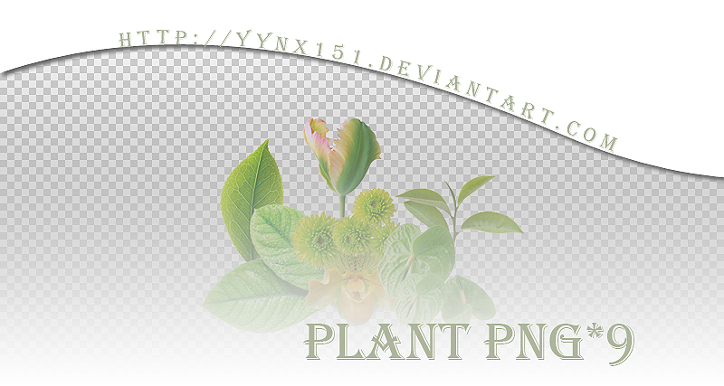 Plant png pack #03