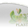 Plant png pack #03