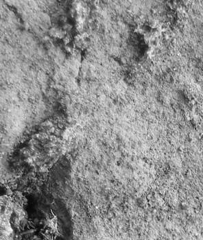 Texture 2 for tutdojo