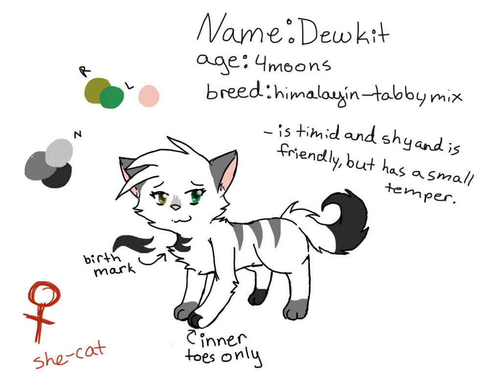 Dewkit ref. by xXcristalcatXx on DeviantArt