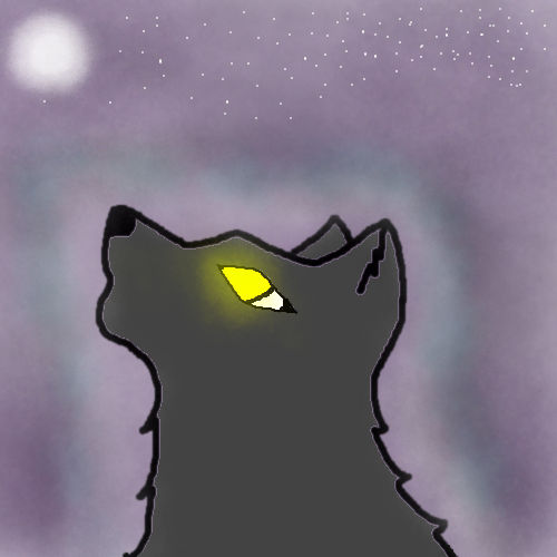 The Wolf Below The Moon by DarkClassified on DeviantArt